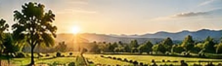 Farm Land Projects