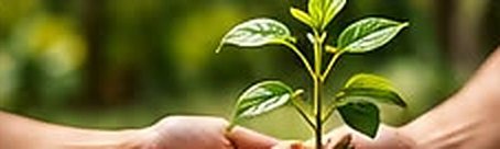 Sustainable Development