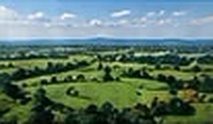 Green farmland landscape