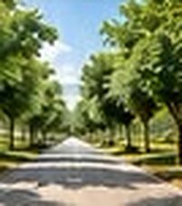 Tree-lined internal road Tree-lined internal road